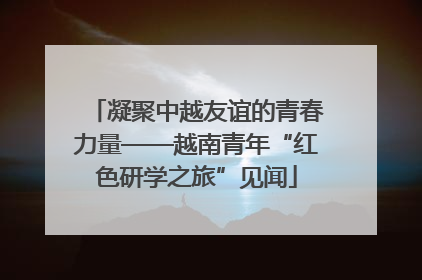 凝聚中越友谊的青春力量——越南青年“红色研学之旅”见闻