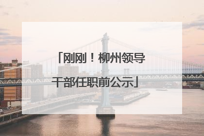 刚刚！柳州领导干部任职前公示