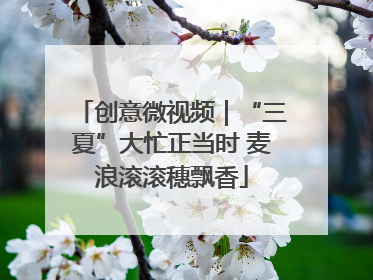 创意微视频｜“三夏”大忙正当时 麦浪滚滚穗飘香