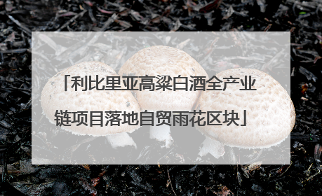 利比里亚高粱白酒全产业链项目落地自贸雨花区块