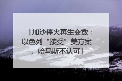 加沙停火再生变数：以色列“接受”美方案、哈马斯不认可
