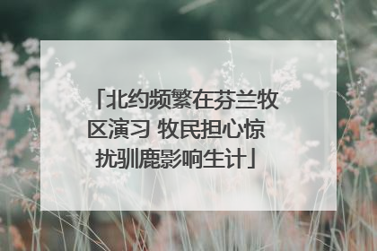 北约频繁在芬兰牧区演习 牧民担心惊扰驯鹿影响生计