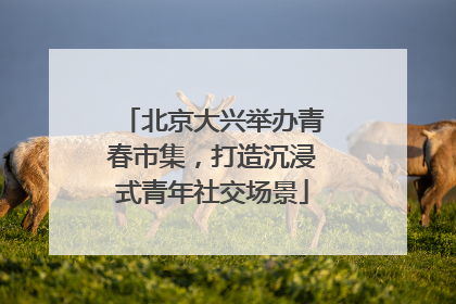 北京大兴举办青春市集，打造沉浸式青年社交场景