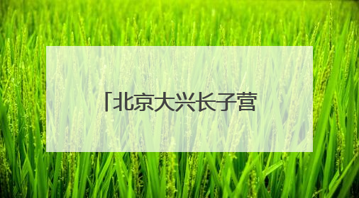 北京大兴长子营镇第十一届 “和谐杯” 乒乓球大赛圆满落幕，全民运动热潮涌动