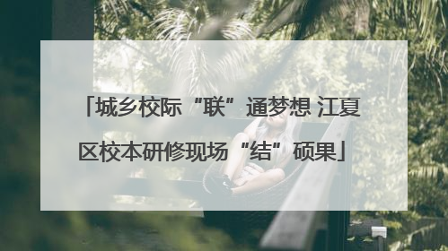 城乡校际“联”通梦想 江夏区校本研修现场“结”硕果