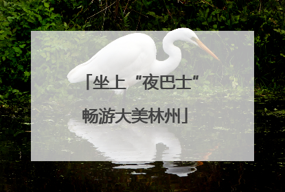 坐上“夜巴士” 畅游大美林州