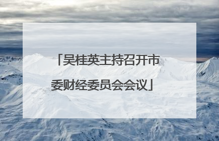吴桂英主持召开市委财经委员会会议