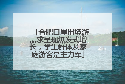 合肥口岸出境游需求呈现爆发式增长，学生群体及家庭游客是主力军
