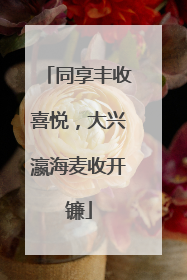 同享丰收喜悦，大兴瀛海麦收开镰