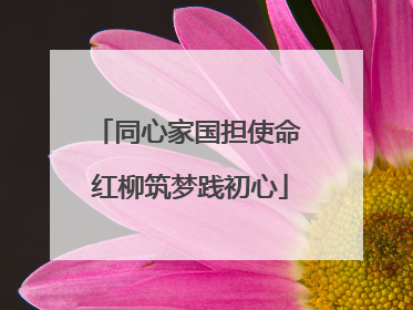 同心家国担使命 红柳筑梦践初心