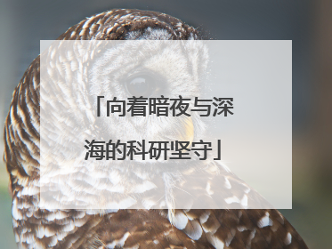 向着暗夜与深海的科研坚守