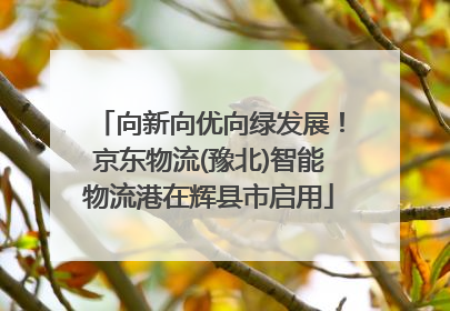 向新向优向绿发展！京东物流(豫北)智能物流港在辉县市启用