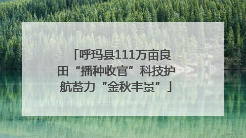 呼玛县111万亩良田“播种收官”科技护航蓄力“金秋丰景”