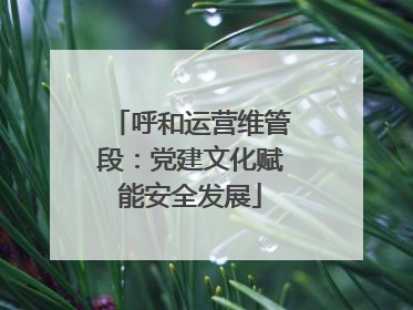 呼和运营维管段：党建文化赋能安全发展