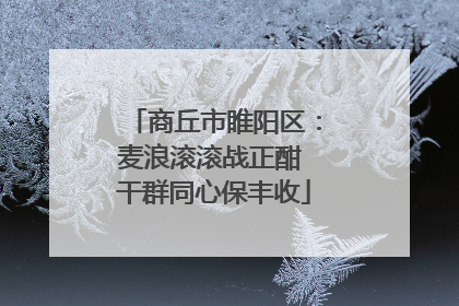 商丘市睢阳区：麦浪滚滚战正酣 干群同心保丰收