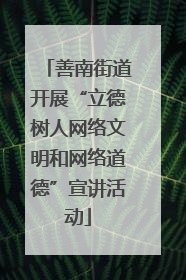 善南街道开展“立德树人网络文明和网络道德”宣讲活动