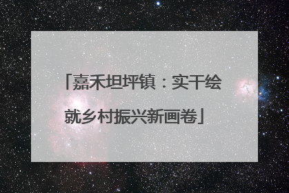 嘉禾坦坪镇：实干绘就乡村振兴新画卷
