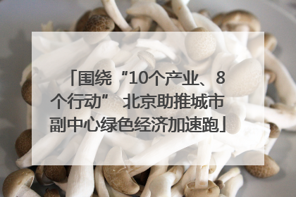 围绕“10个产业、8个行动” 北京助推城市副中心绿色经济加速跑