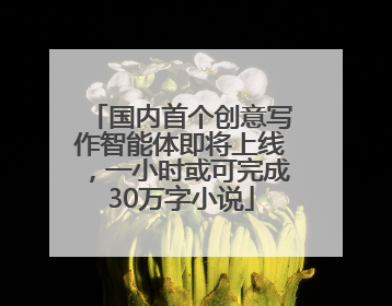 国内首个创意写作智能体即将上线，一小时或可完成30万字小说