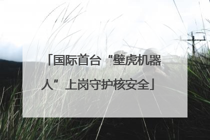 国际首台“壁虎机器人”上岗守护核安全