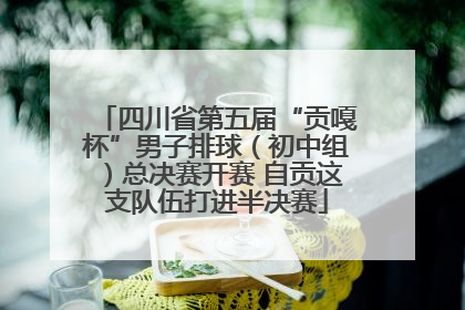 四川省第五届“贡嘎杯”男子排球（初中组）总决赛开赛 自贡这支队伍打进半决赛