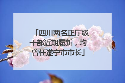 四川两名正厅级干部近期履新，均曾任遂宁市市长