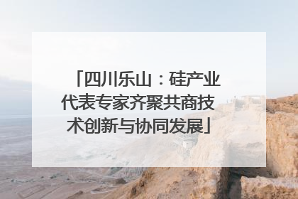 四川乐山：硅产业代表专家齐聚共商技术创新与协同发展