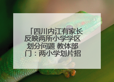 四川内江有家长反映两所小学学区划分问题 教体部门：两小学划片招生范围已调整