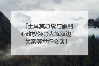 土耳其总统与叙利亚政权领导人就双边关系等举行会谈