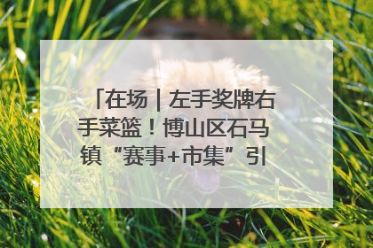 在场｜左手奖牌右手菜篮！博山区石马镇“赛事+市集”引燃周末经济