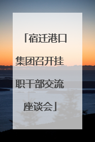 宿迁港口集团召开挂职干部交流座谈会