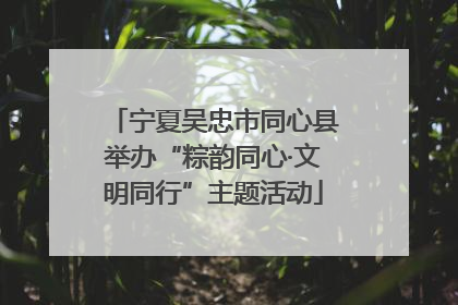 宁夏吴忠市同心县举办“粽韵同心·文明同行”主题活动