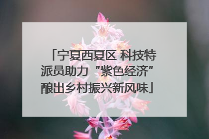 宁夏西夏区 科技特派员助力“紫色经济”酿出乡村振兴新风味