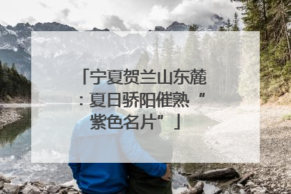 宁夏贺兰山东麓：夏日骄阳催熟“紫色名片”
