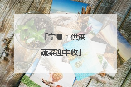 宁夏：供港蔬菜迎丰收
