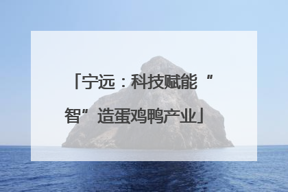 宁远：科技赋能“智”造蛋鸡鸭产业