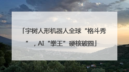 宇树人形机器人全球“格斗秀”，AI“拳王”硬核破圈