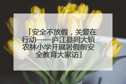 安全不放假，关爱在行动——庐江县同大镇农林小学开展暑假前安全教育大家访