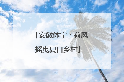 安徽休宁：荷风摇曳夏日乡村