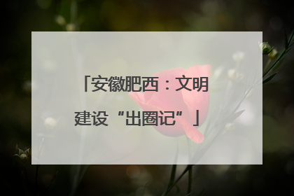 安徽肥西：文明建设“出圈记”