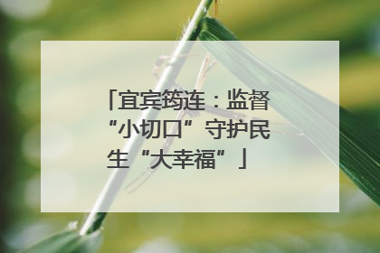宜宾筠连：监督“小切口”守护民生“大幸福”