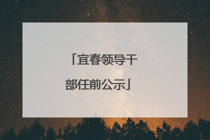 宜春领导干部任前公示