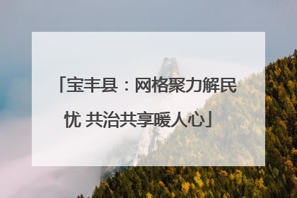 宝丰县：网格聚力解民忧 共治共享暖人心