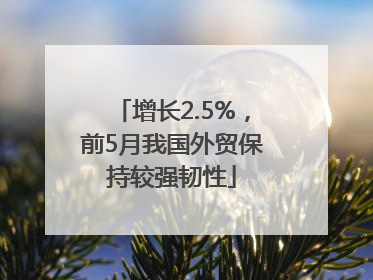 增长2.5%，前5月我国外贸保持较强韧性