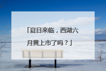 夏日来临，西湖六月黄上市了吗？