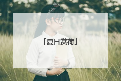 夏日赏荷