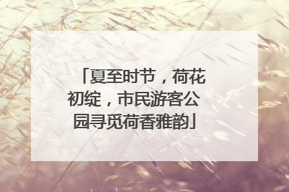 夏至时节，荷花初绽，市民游客公园寻觅荷香雅韵