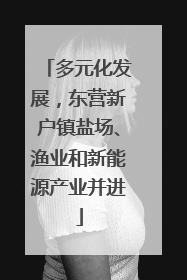 多元化发展，东营新户镇盐场、渔业和新能源产业并进
