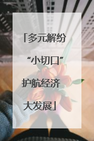 多元解纷“小切口” 护航经济大发展