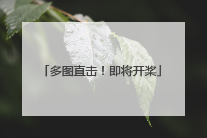 多图直击！即将开桨
